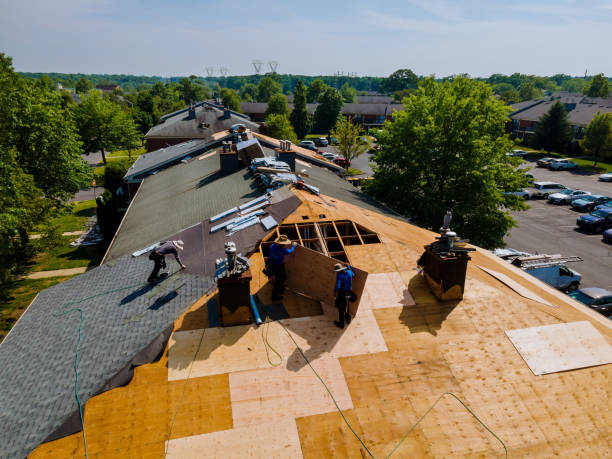 Quick and Trustworthy Emergency Roof Repair Services in Canyon Lake, TX